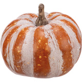 Fall Mix Pumpkin Set Thanksgiving Decoration #100-H170