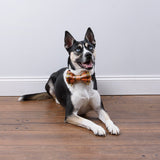 Fall Plaid Pet Bow Tie for Thanksgiving and Halloween #100-H157