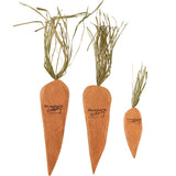 WOODEN CARROT SET- ORANGE #1632
