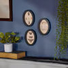Insect Study Hanging Decor Set #1694