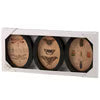Insect Study Hanging Decor Set #1694