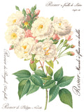 IOD Decor Transfer Rose Botanical 12" X 16" Pad by Iron Orchid Designs