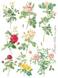 IOD Decor Transfer Rose Botanical 12" X 16" Pad by Iron Orchid Designs