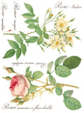 IOD Decor Transfer Rose Botanical 12" X 16" Pad by Iron Orchid Designs