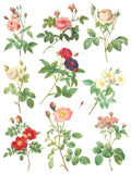 IOD Decor Transfer Rose Botanical 12" X 16" Pad by Iron Orchid Designs