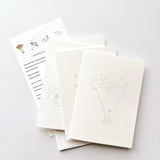 Emily Lex Studios Watercolor Paintable Notecards Love Sweet Love
