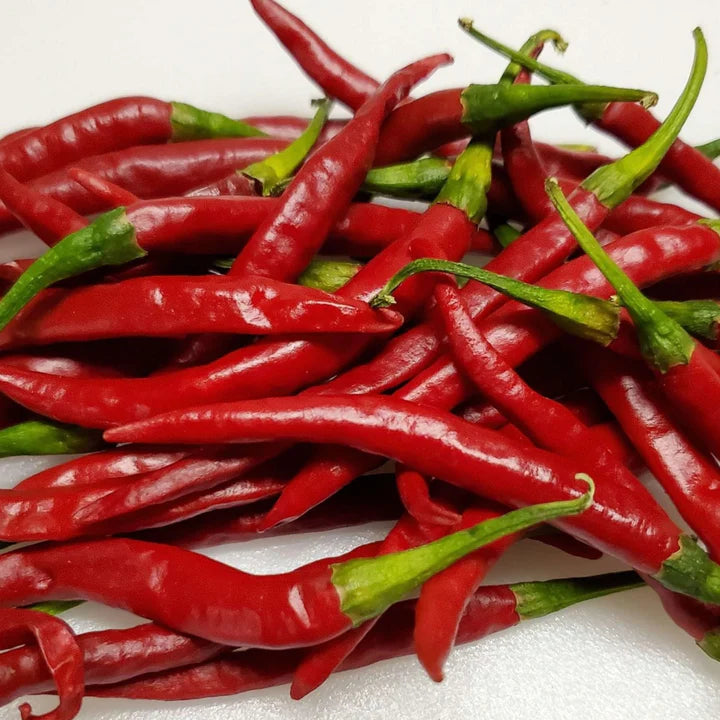 MIGardener Seeds Pepper Chile de Arbol
