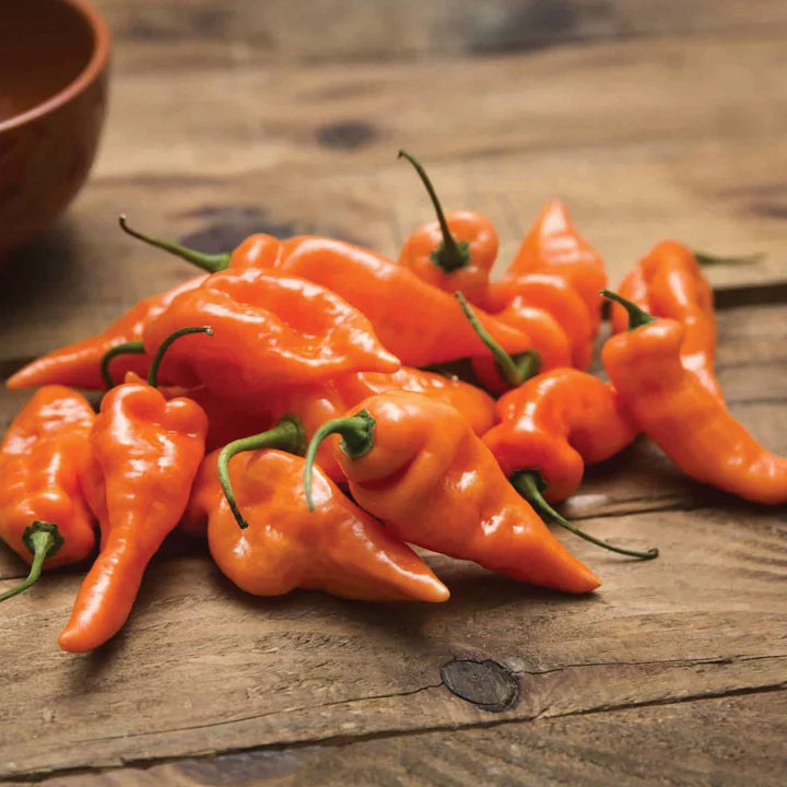 MIGardener Seeds Pepper Habanada