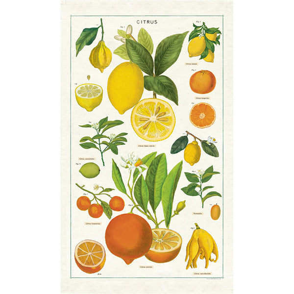 Cavallini Tea Towel Citrus