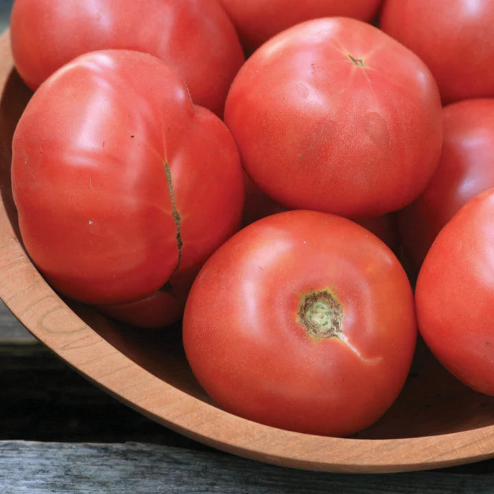 MIGardener Seeds Tomato Arkansas Traveler
