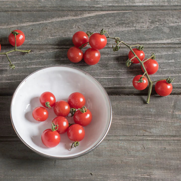 MIGardener Seeds Tomato Matt's Wild Cherry