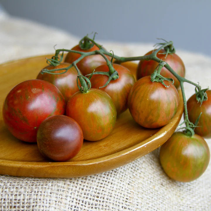 MIGardener Seeds Tomato Purple Bumble Bee