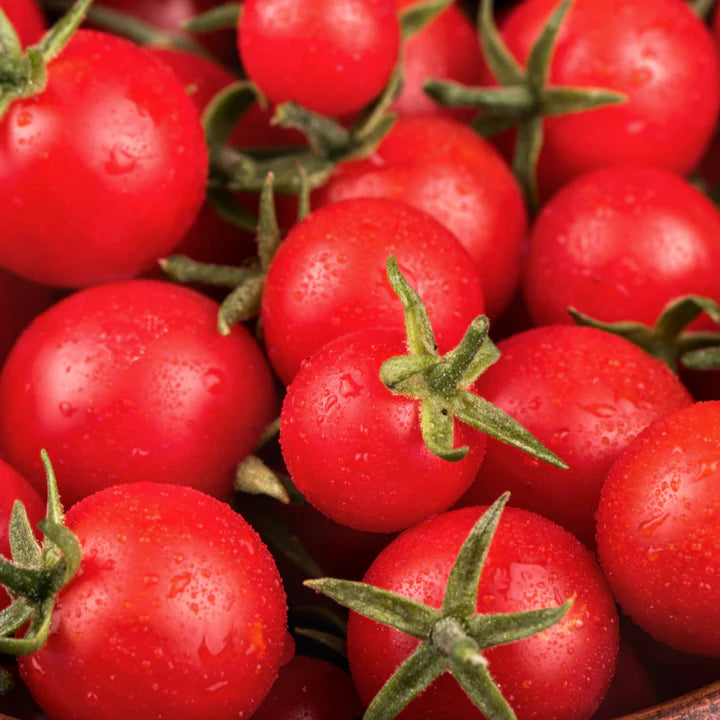 MIGardener Seeds Tomato Sweetie