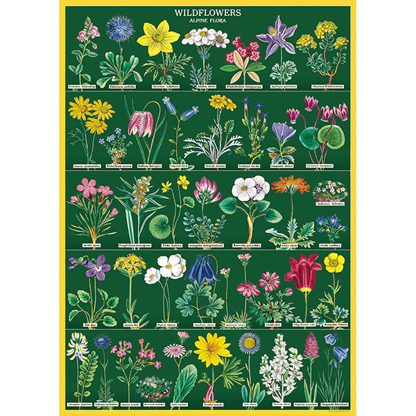 Cavallini Poster Wildflowers2