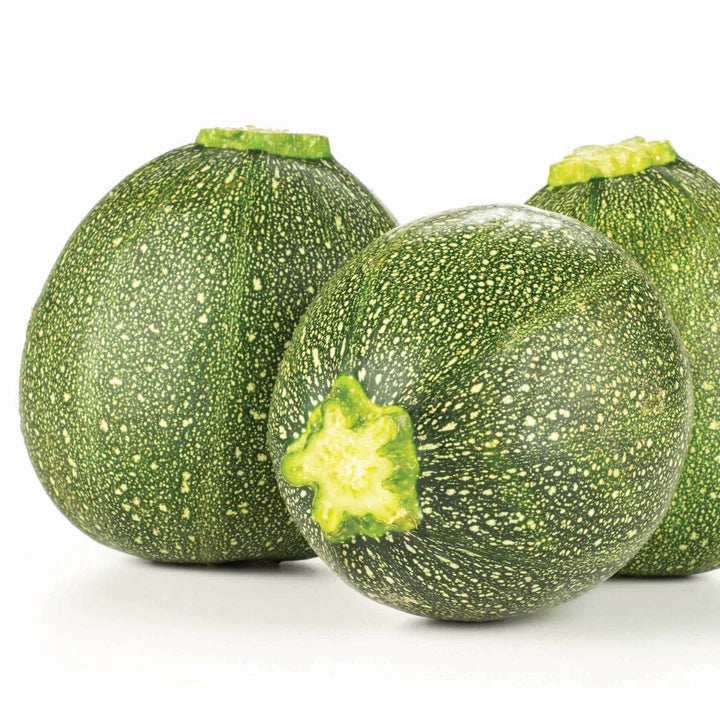 MIGardener Seeds Zucchini Round