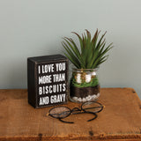 Box Sign " ILY More than Biscuits" #100-1507