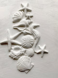 IOD Decor Mould Sea Shells Seashells by Iron Orchid Designs
