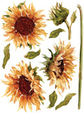 IOD Decor Transfer Painterly Florals 12"X 16" Pad by Iron Orchid Designs