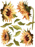 IOD Decor Transfer Painterly Florals 12"X 16" Pad by Iron Orchid Designs