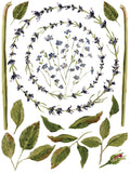 IOD Decor Transfer Painterly Florals 12"X 16" Pad by Iron Orchid Designs