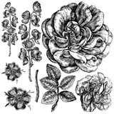IOD Decor Stamp Lady of Shalott Shallot 12x12" by Iron Orchid Designs