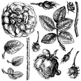IOD Decor Stamp Lady of Shalott Shallot 12x12" by Iron Orchid Designs
