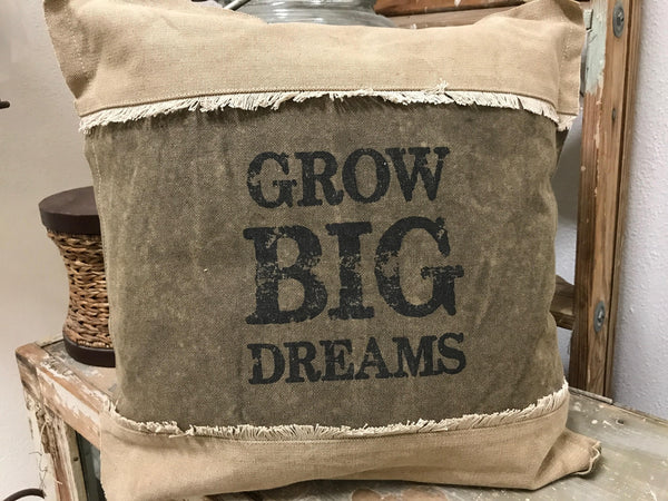 Accent Pillow Grow Big Dreams #100-B101 – Bird's Nest Gifts & Antiques