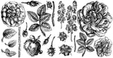 IOD Decor Stamp Lady of Shalott Shallot 12x12" by Iron Orchid Designs