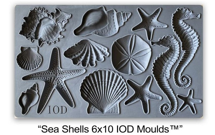 IOD Decor Mould Sea Shells Seashells by Iron Orchid Designs