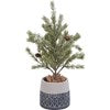 PLANTER - BOHO PATTERNED #1651