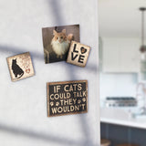 "All You Need Is Love And A Cat" Magnet Set of 3 #100-1564
