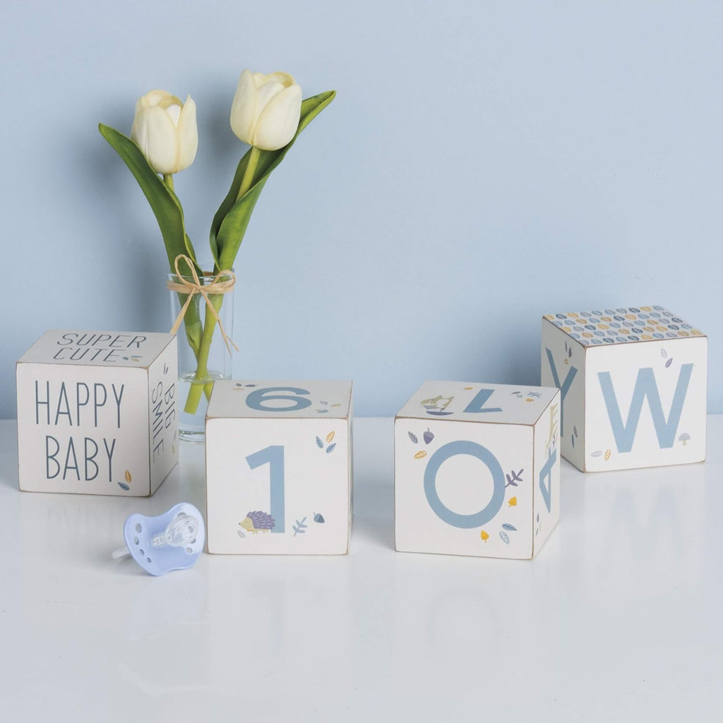 Baby Milestone Blocks Set of 4 #100-1242