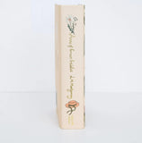 Collector's Edition Classics Anne of Green Gables