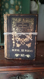 IOD Decor Gilded Foil Transfer Athenaeum 8x12" 8 Sheets Pad by Iron Orchid Designs