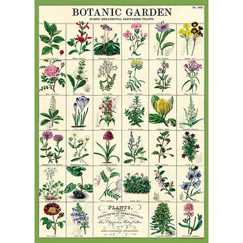 Cavallini Poster Vintage Botanic Garden