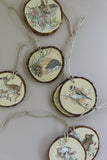 IOD Decor Transfer Bramblewood Diaries 8"x12" 8-Pages Pad by Iron Orchid Designs