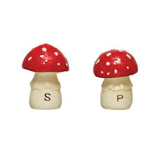 Creative Coop Hand Painted Polka Dot Mushroom Salt & Pepper Set