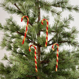 Christmas Ornament- Chenille Candy Cane Ornaments Set of 12