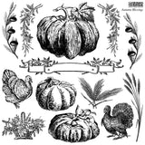 IOD Decor Stamp Autumn Blessings 12" x 12" by Iron Orchid Designs