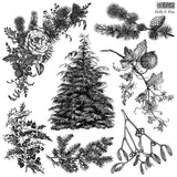 IOD Decor Stamp Holly and Pine 12" x 12" by Iron Orchid Designs