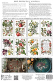 IOD Decor Transfer Clementine 8"X12" 8-Pages Pad by Iron Orchid Designs