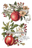 IOD Decor Transfer Clementine 8"X12" 8-Pages Pad by Iron Orchid Designs