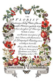 IOD Decor Transfer Clementine 8"X12" 8-Pages Pad by Iron Orchid Designs