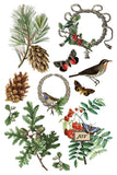 IOD Decor Transfer Winter Botanist 8"X12" 8-Pages Pad by Iron Orchid Designs