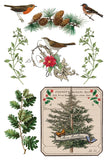 IOD Decor Transfer Winter Botanist 8"X12" 8-Pages Pad by Iron Orchid Designs