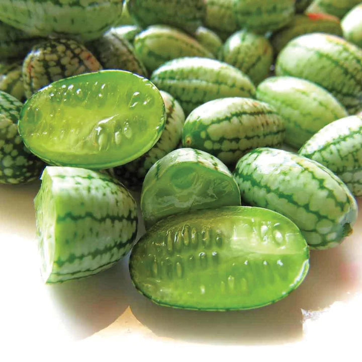 MIGardener Seeds Cucamelon- Mexican Sour Gherkin