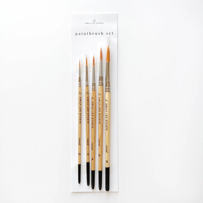Emily Lex Studios Watercolor Paintbrush Set of 5
