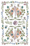 IOD Decor Transfer Fern Fables 8"x12" 8-Pages Pad by Iron Orchid Designs