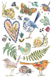 IOD Decor Transfer Fern Fables 8"x12" 8-Pages Pad by Iron Orchid Designs