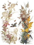 IOD Decor Transfer Flowers by the Poets 12"x16" 8-Pages Pad by Iron Orchid Designs